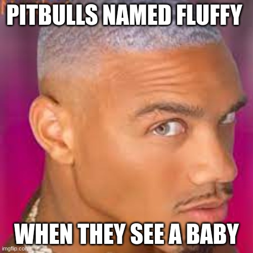pitbulls be like | PITBULLS NAMED FLUFFY; WHEN THEY SEE A BABY | image tagged in funny memes | made w/ Imgflip meme maker