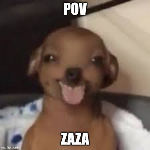 tong | POV; ZAZA | made w/ Imgflip meme maker