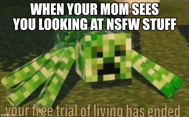 Your Free Trial of Living Has Ended | WHEN YOUR MOM SEES YOU LOOKING AT NSFW STUFF | image tagged in your free trial of living has ended | made w/ Imgflip meme maker