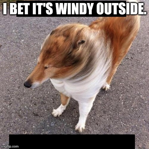 She wasn't lying ass can fart blank | I BET IT'S WINDY OUTSIDE. | image tagged in she wasn't lying ass can fart blank | made w/ Imgflip meme maker