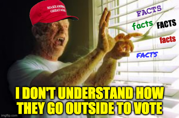 Dawn of the Brain-dead | I DON'T UNDERSTAND HOW
THEY GO OUTSIDE TO VOTE | image tagged in memes,maga,facts | made w/ Imgflip meme maker