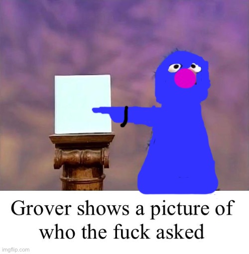 Grover: Who Asked | image tagged in grover who asked | made w/ Imgflip meme maker