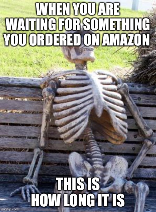 Amazon thingy | WHEN YOU ARE WAITING FOR SOMETHING YOU ORDERED ON AMAZON; THIS IS HOW LONG IT IS | image tagged in memes,waiting skeleton | made w/ Imgflip meme maker