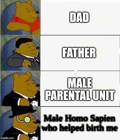 Tuxedo Winnie the Pooh 4 panel | DAD; FATHER; MALE PARENTAL UNIT; Male Homo Sapien who helped birth me | image tagged in tuxedo winnie the pooh 4 panel,funny | made w/ Imgflip meme maker