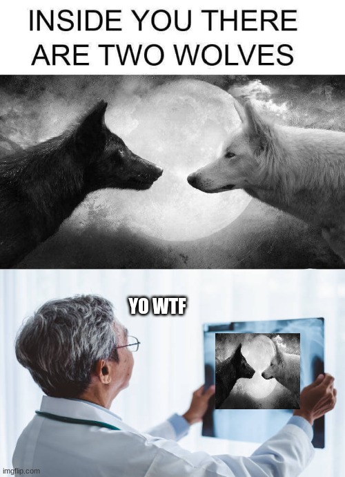 Two wolves | YO WTF | image tagged in inside you there are two wolves,funny,memes | made w/ Imgflip meme maker