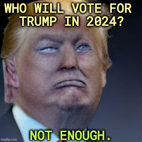America hates MAGA. | WHO WILL VOTE FOR 
TRUMP IN 2024? NOT ENOUGH. | image tagged in trump,maga,2024,losers | made w/ Imgflip meme maker