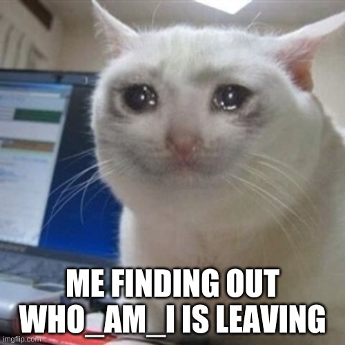 Crying cat | ME FINDING OUT WHO_AM_I IS LEAVING | image tagged in crying cat,who_am_i,meme | made w/ Imgflip meme maker