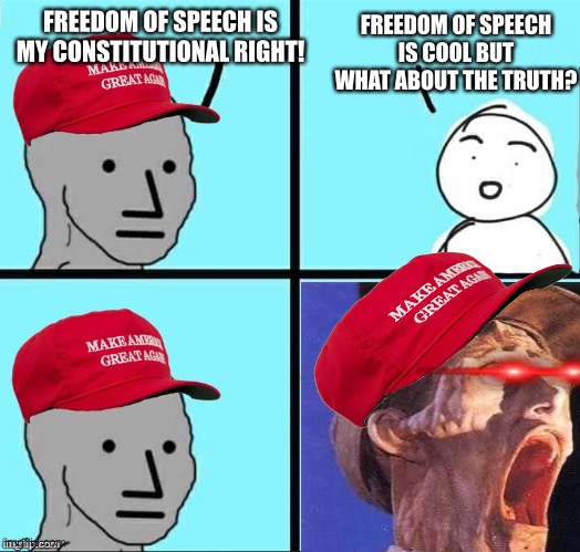 FREEDOM OF SPEECH IS COOL BUT WHAT ABOUT THE TRUTH? FREEDOM OF SPEECH IS MY CONSTITUTIONAL RIGHT! | made w/ Imgflip meme maker