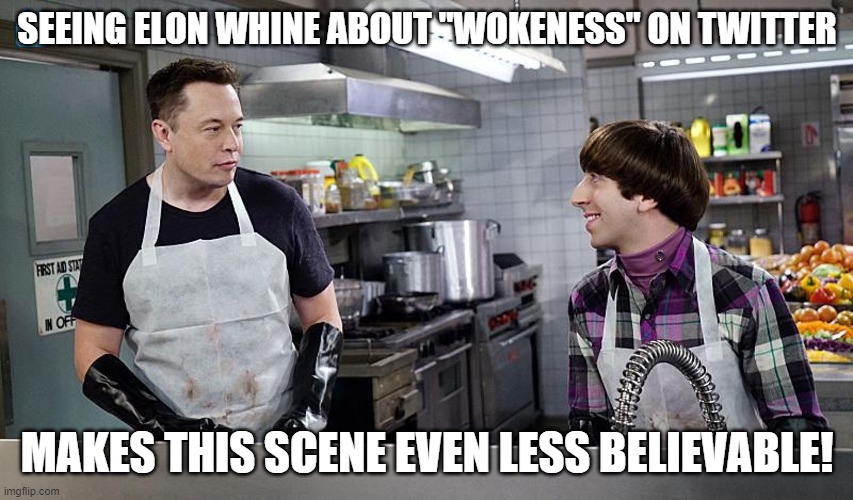 Elon Big Bang Theory | SEEING ELON WHINE ABOUT "WOKENESS" ON TWITTER; MAKES THIS SCENE EVEN LESS BELIEVABLE! | image tagged in elon big bang theory | made w/ Imgflip meme maker