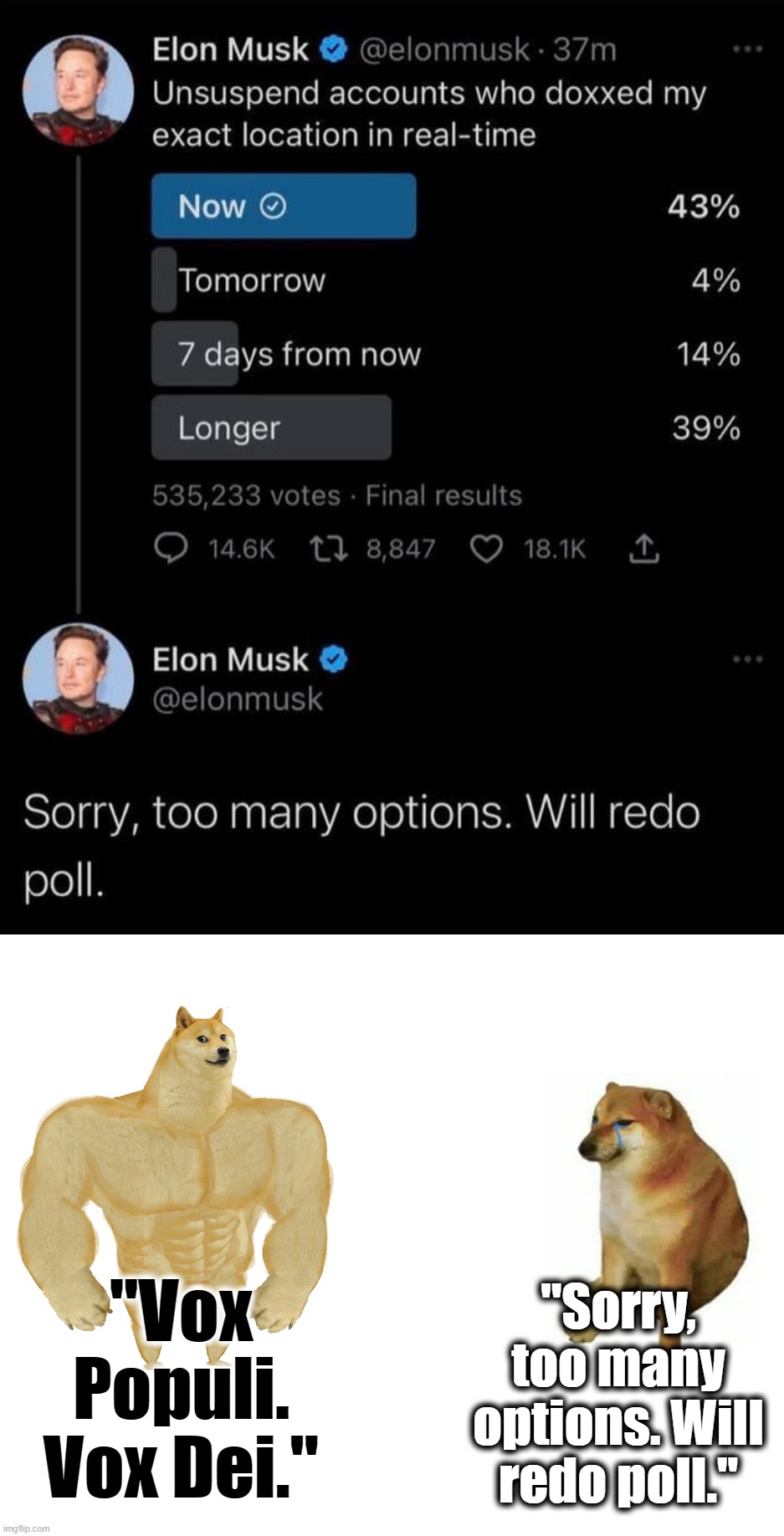 Checking up on Musk's bold approach of crowd-sourcing major mod decisions | "Sorry, too many options. Will redo poll."; "Vox Populi. Vox Dei." | image tagged in elon musk sorry too many options poll,buff doge vs cheems,elon musk,elon musk buying twitter,twitter,free speech | made w/ Imgflip meme maker