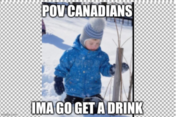 canadian memes | image tagged in funny | made w/ Imgflip meme maker