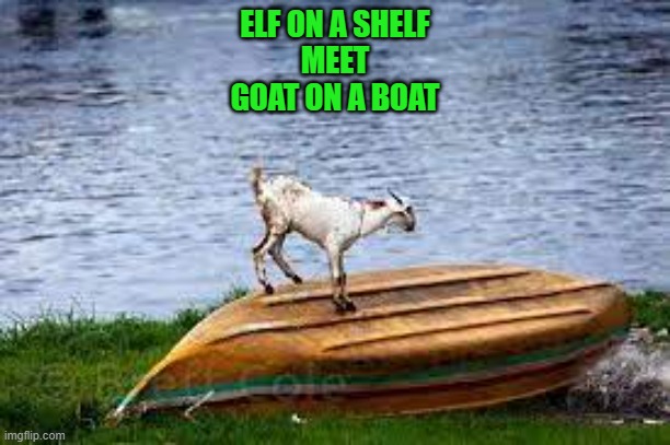 elf on a shelf | ELF ON A SHELF
MEET
GOAT ON A BOAT | image tagged in elf on a shelf,goat on a boat | made w/ Imgflip meme maker
