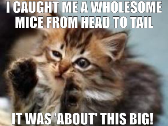 MAYBE THEY ARE GETTING BIGGER | I CAUGHT ME A WHOLESOME MICE FROM HEAD TO TAIL; IT WAS 'ABOUT' THIS BIG! | image tagged in alien cat,meme | made w/ Imgflip meme maker