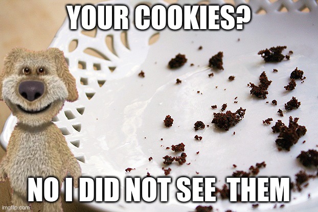 cookies? | YOUR COOKIES? NO I DID NOT SEE  THEM | image tagged in crumbs | made w/ Imgflip meme maker