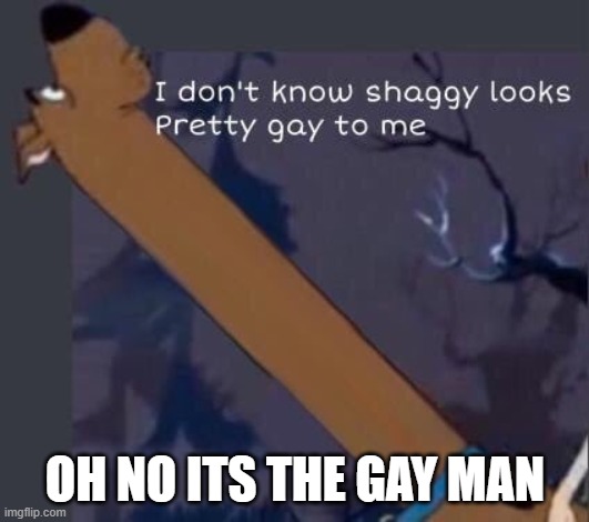 i dont know shaggy looks pretty gay to me | OH NO ITS THE GAY MAN | image tagged in i dont know shaggy looks pretty gay to me | made w/ Imgflip meme maker