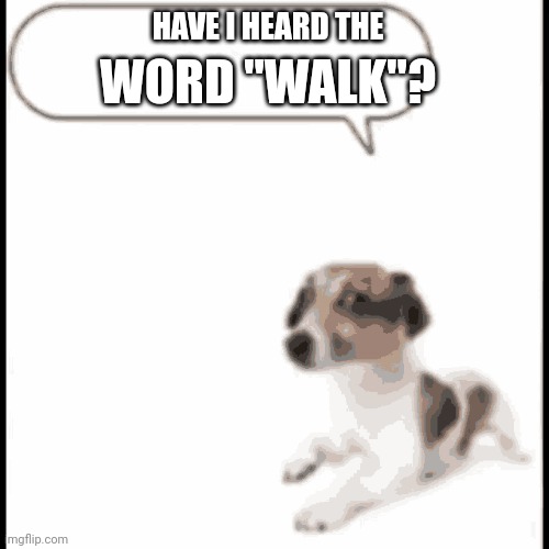 dog template | HAVE I HEARD THE; WORD "WALK"? | image tagged in dog template | made w/ Imgflip meme maker