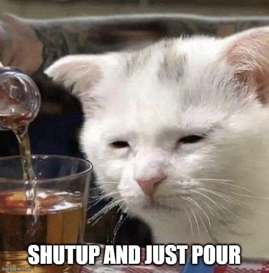 image tagged in funny cats,funny cat memes,drinking,drunk cat,holidays | made w/ Imgflip meme maker