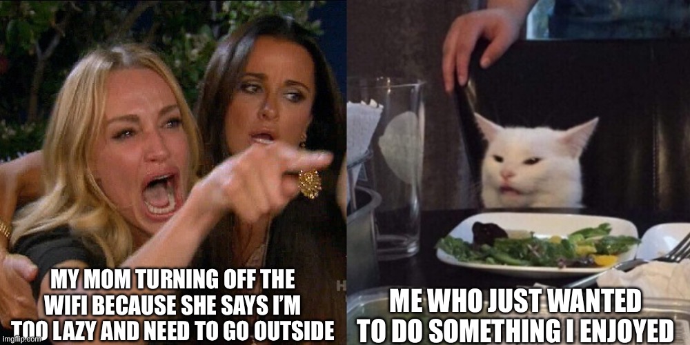 parents when their kids do something that makes them happy: ? | MY MOM TURNING OFF THE WIFI BECAUSE SHE SAYS I’M TOO LAZY AND NEED TO GO OUTSIDE; ME WHO JUST WANTED TO DO SOMETHING I ENJOYED | image tagged in woman yelling at cat | made w/ Imgflip meme maker
