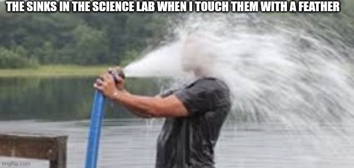 So true | THE SINKS IN THE SCIENCE LAB WHEN I TOUCH THEM WITH A FEATHER | image tagged in drinking from a fire hose | made w/ Imgflip meme maker