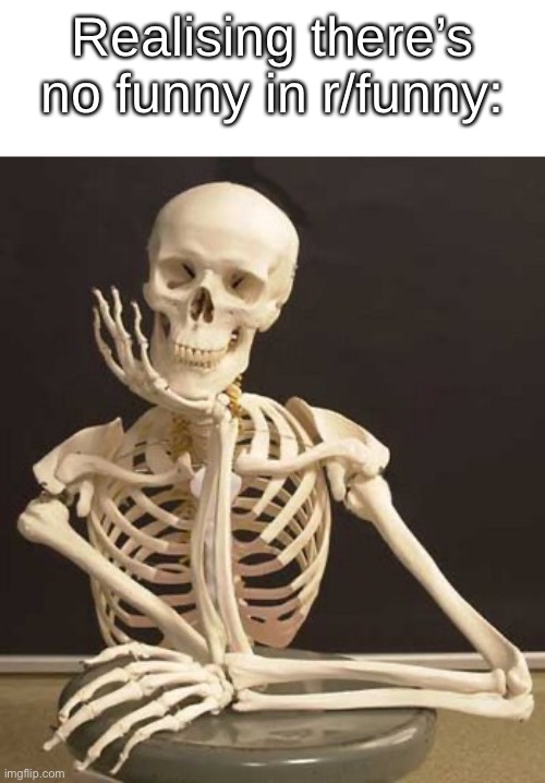 Skull | Realising there’s no funny in r/funny: | image tagged in skull | made w/ Imgflip meme maker
