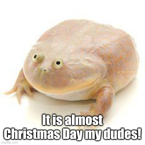 It is almost Christmas my dudes! | It is almost Christmas Day my dudes! | image tagged in wednesday frog blank,memes,christmas,funny,merry christmas | made w/ Imgflip meme maker