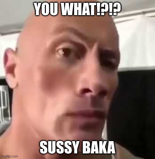 The Rock Eyebrows | YOU WHAT!?!? SUSSY BAKA | image tagged in the rock eyebrows | made w/ Imgflip meme maker