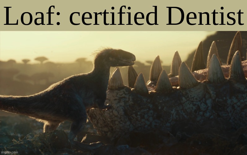This is my last meme before I leave for winter break take care! | Loaf: certified Dentist | image tagged in moros,jurassic world,intrepidus,loaf,loaf of bread | made w/ Imgflip meme maker