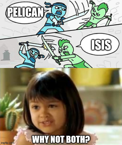 Because sometimes you feel like living, and sometimes you don't | PELICAN; ISIS; WHY NOT BOTH? | image tagged in sword fight | made w/ Imgflip meme maker