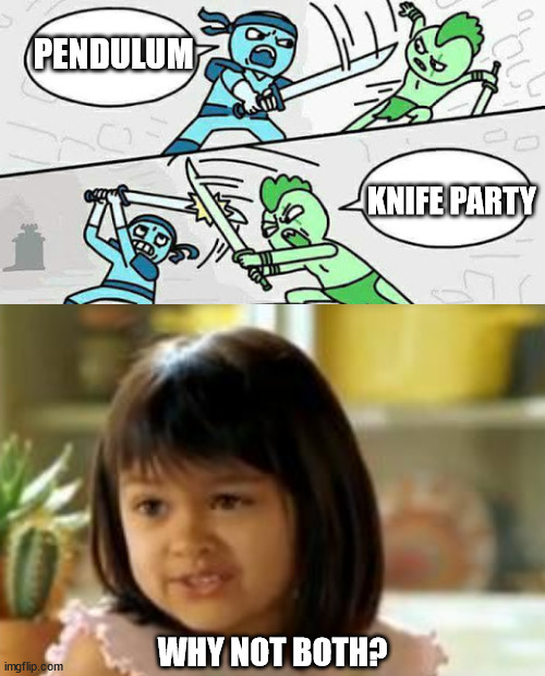 I wonder which way Pendulum will swing next | PENDULUM; KNIFE PARTY; WHY NOT BOTH? | image tagged in sword fight | made w/ Imgflip meme maker