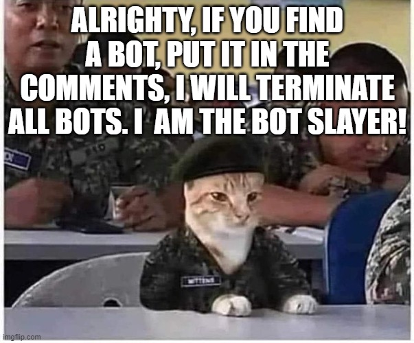 CAT JOINS THE ARMY | ALRIGHTY, IF YOU FIND A BOT, PUT IT IN THE COMMENTS, I WILL TERMINATE ALL BOTS. I  AM THE BOT SLAYER! | image tagged in cat joins the army | made w/ Imgflip meme maker