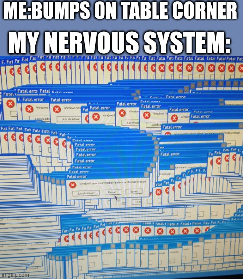 shit.... | ME:BUMPS ON TABLE CORNER; MY NERVOUS SYSTEM: | image tagged in a fatal error | made w/ Imgflip meme maker