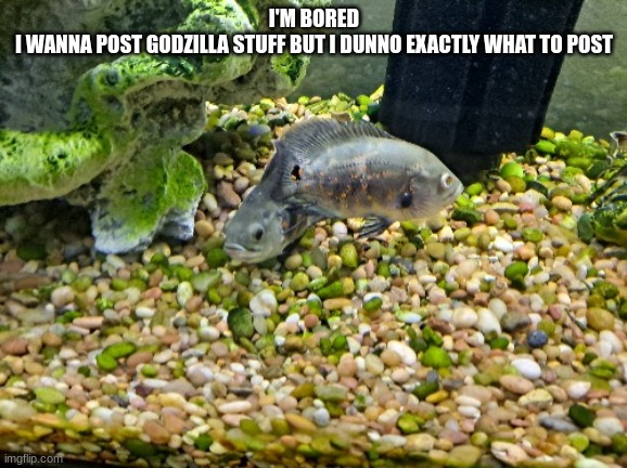 Julie and Josephine | I'M BORED
I WANNA POST GODZILLA STUFF BUT I DUNNO EXACTLY WHAT TO POST | image tagged in jimmy and joseph | made w/ Imgflip meme maker