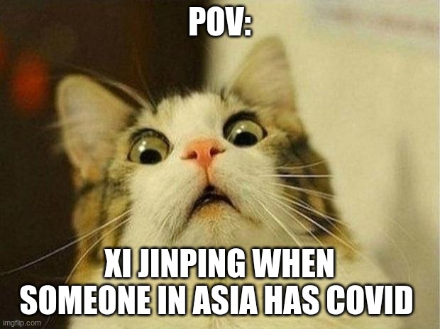 Its a little funny | POV:; XI JINPING WHEN SOMEONE IN ASIA HAS COVID | image tagged in memes,scared cat | made w/ Imgflip meme maker