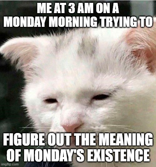 Monday be like | ME AT 3 AM ON A MONDAY MORNING TRYING TO; FIGURE OUT THE MEANING OF MONDAY'S EXISTENCE | image tagged in sleepy cat | made w/ Imgflip meme maker