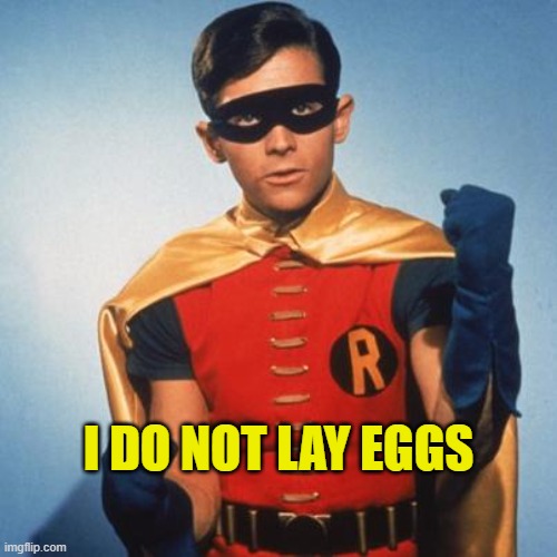 Robin does not lay eggs | I DO NOT LAY EGGS | image tagged in robin,memes,batman,christmas songs | made w/ Imgflip meme maker