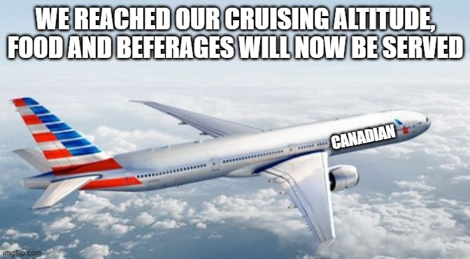 cruising altitude is 11000 metres for people who want to know | WE REACHED OUR CRUISING ALTITUDE, FOOD AND BEFERAGES WILL NOW BE SERVED; CANADIAN | image tagged in american airlines jet | made w/ Imgflip meme maker