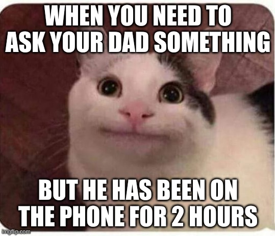 Polite Cat | WHEN YOU NEED TO ASK YOUR DAD SOMETHING; BUT HE HAS BEEN ON THE PHONE FOR 2 HOURS | image tagged in polite cat | made w/ Imgflip meme maker
