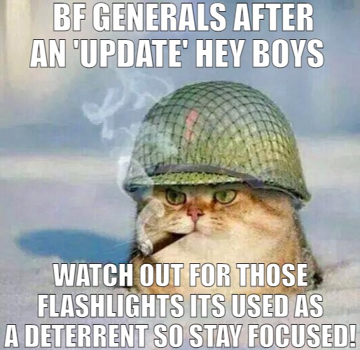 THERE'S NOTHING LIKE EARLY MORNING BRIEFS' | BF GENERALS AFTER AN 'UPDATE' HEY BOYS; WATCH OUT FOR THOSE FLASHLIGHTS ITS USED AS A DETERRENT SO STAY FOCUSED! | image tagged in war cat,meme | made w/ Imgflip meme maker