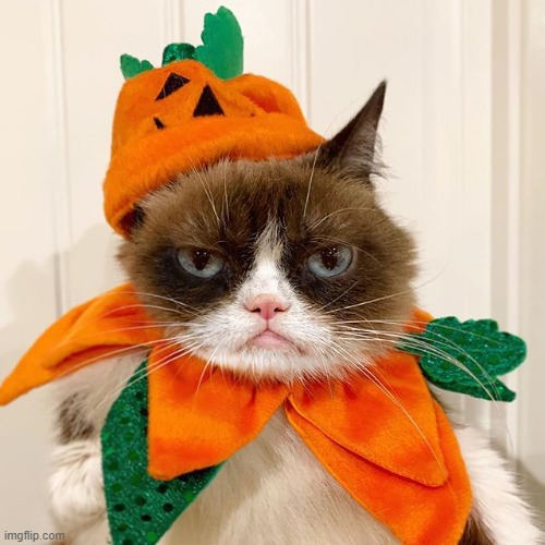 Grumpy Cat Halloween | image tagged in grumpy cat halloween | made w/ Imgflip meme maker