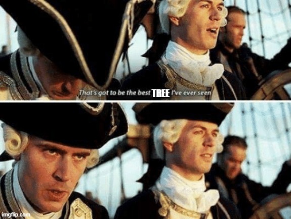 That's Gotta Be The Best Pirate I've Ever Seen | TREE | image tagged in that's gotta be the best pirate i've ever seen | made w/ Imgflip meme maker