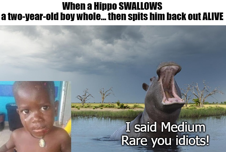 there is a boy in my soup | When a Hippo SWALLOWS a two-year-old boy whole... then spits him back out ALIVE; I said Medium Rare you idiots! | image tagged in no soup for you | made w/ Imgflip meme maker