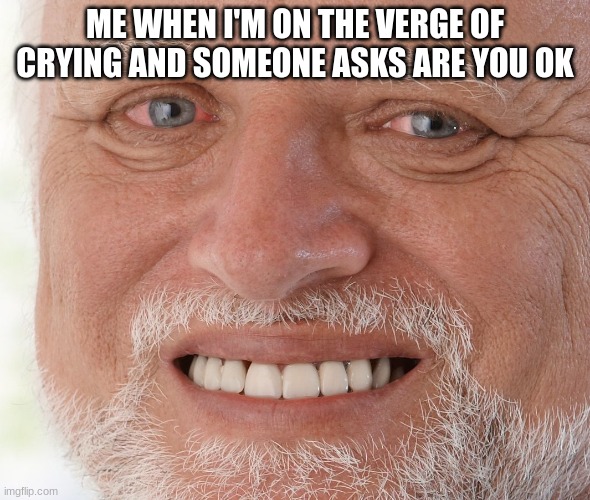 don't cry | ME WHEN I'M ON THE VERGE OF CRYING AND SOMEONE ASKS ARE YOU OK | image tagged in hide the pain harold | made w/ Imgflip meme maker