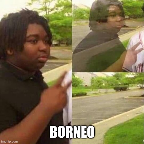 disappearing  | BORNEO | image tagged in disappearing | made w/ Imgflip meme maker