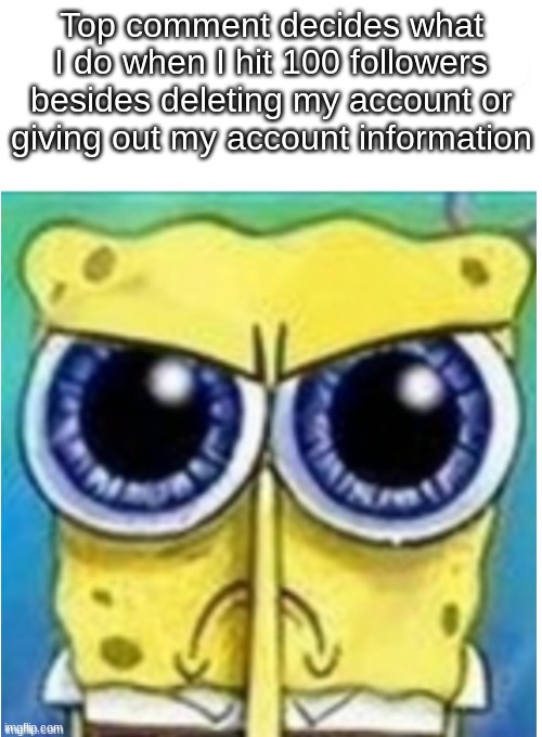 Angry spongebob blank | Top comment decides what I do when I hit 100 followers
besides deleting my account or giving out my account information | image tagged in angry spongebob blank | made w/ Imgflip meme maker