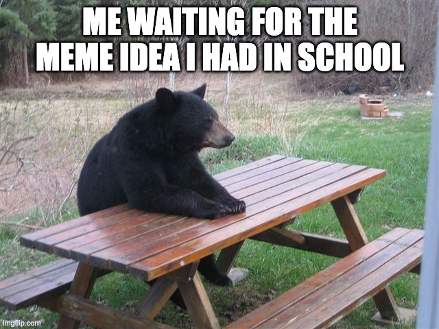 Patient Bear | ME WAITING FOR THE MEME IDEA I HAD IN SCHOOL | image tagged in patient bear | made w/ Imgflip meme maker