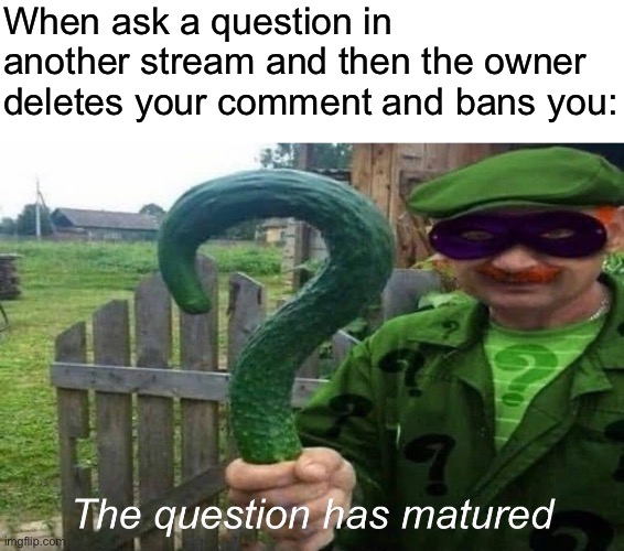 Didn’t actually happen, just the only scenario I thought of where I could use this image | When ask a question in another stream and then the owner deletes your comment and bans you: | made w/ Imgflip meme maker