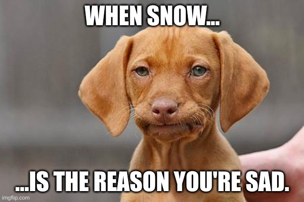 WHEN SNOW... ...IS THE REASON YOU'RE SAD. | image tagged in dissapointed puppy | made w/ Imgflip meme maker