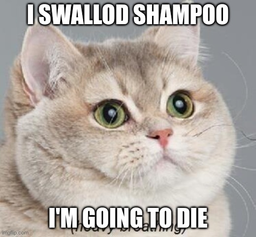 Heavy Breathing Cat | I SWALLOD SHAMPOO; I'M GOING TO DIE | image tagged in memes,heavy breathing cat | made w/ Imgflip meme maker