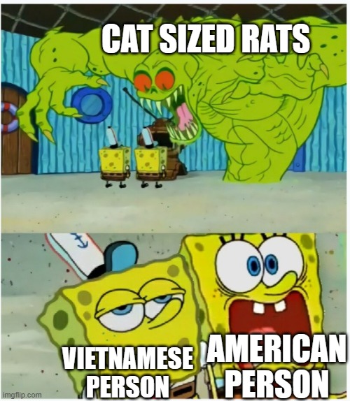SpongeBob SquarePants scared but also not scared | CAT SIZED RATS; AMERICAN PERSON; VIETNAMESE PERSON | image tagged in spongebob squarepants scared but also not scared | made w/ Imgflip meme maker