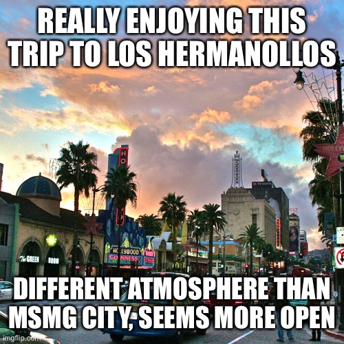 Los Angeles | REALLY ENJOYING THIS TRIP TO LOS HERMANOLLOS; DIFFERENT ATMOSPHERE THAN MSMG CITY, SEEMS MORE OPEN | image tagged in los angeles | made w/ Imgflip meme maker